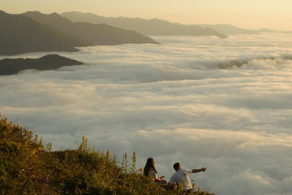 Explorez les Meilleurs Secrets des Formules Tout Compris en Camping : Quelles Options Réserver ?