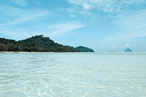 La forêt de montgeon du havre : un refuge pour la nature