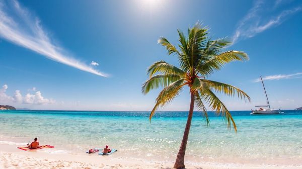 Locations à saint-barth : 193 options pour un séjour parfait !